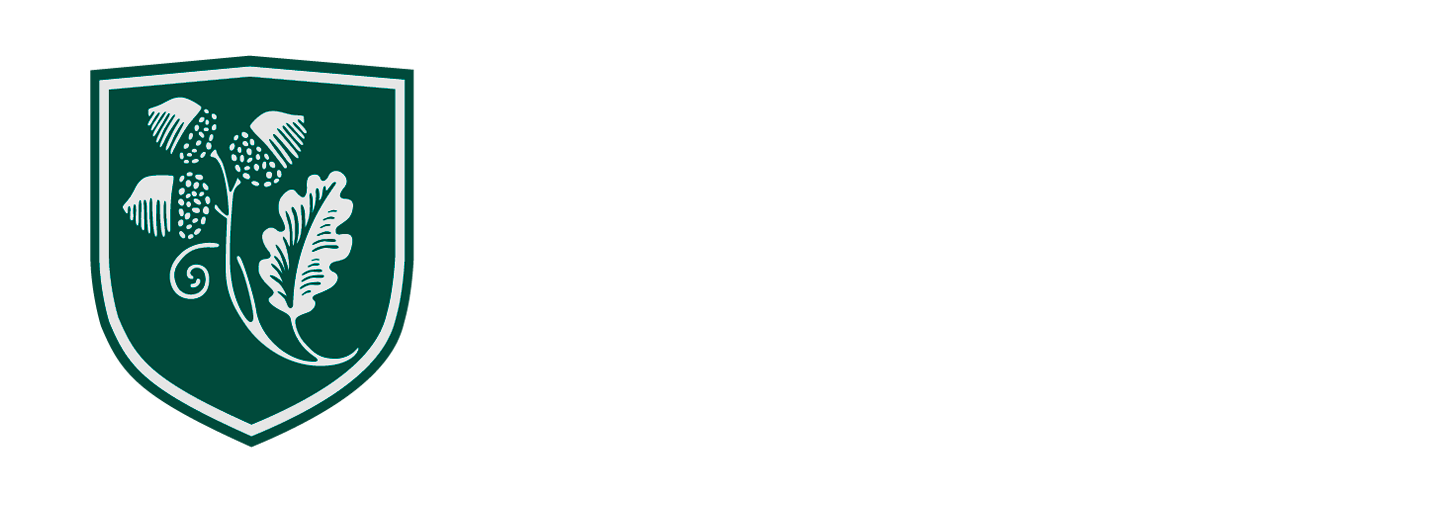Logo academia