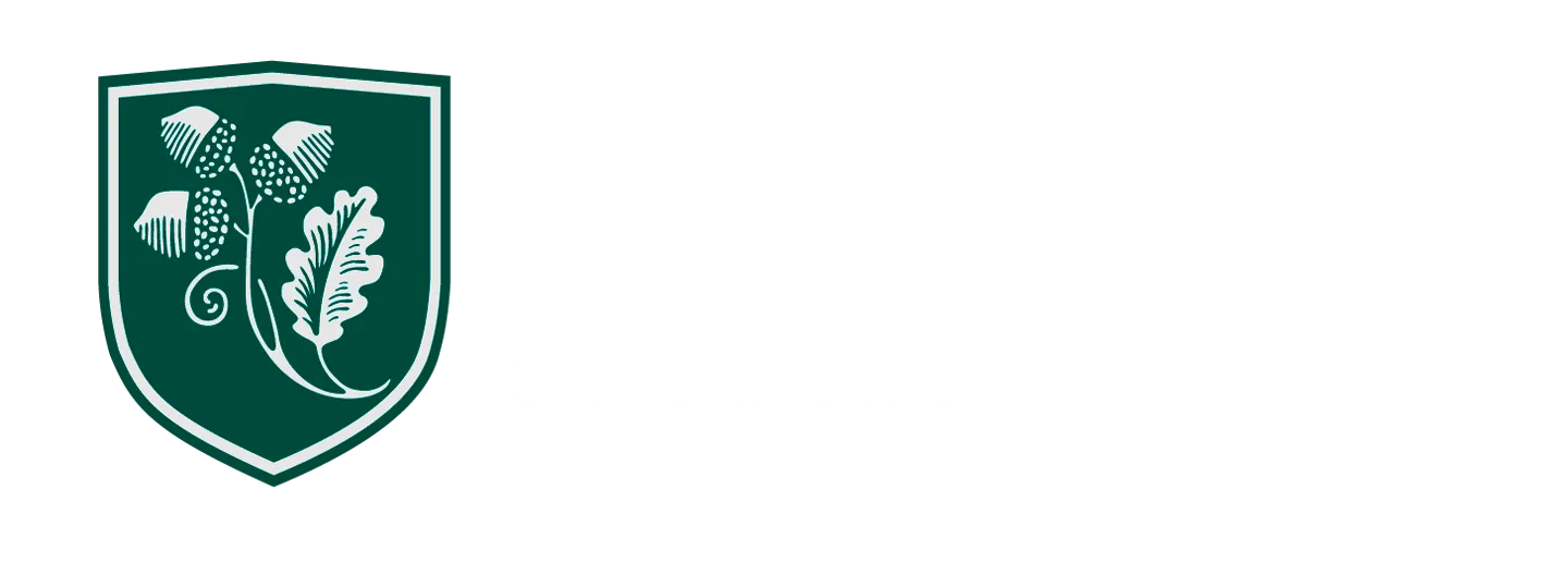 Logo academia