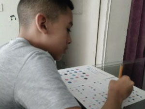 mediación pedagógica que se realiza con los estudiantes de primaria incluyente