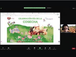 Imagen profesora presentando