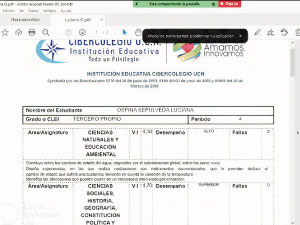 Imagen informe de notas final estudiante
