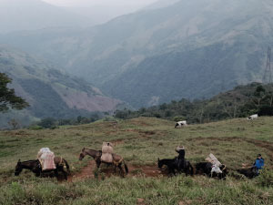 Fotografía de paisaje