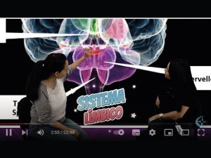 imagen_expresion-emociones_1