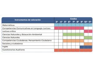 Imagen que contiene instrumentos de valoración pruebas avanzar
