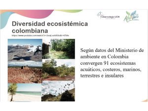 Imagen del taller práctico sobre restauración ecológica en el marco del PRAE institucional.1