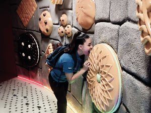 Salida Pedagógica Primaria Incluyente