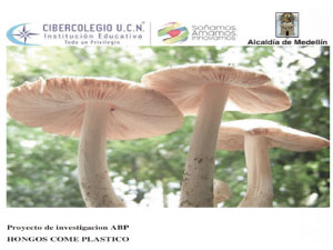 Imagen de la feria Cibersorprende 2020