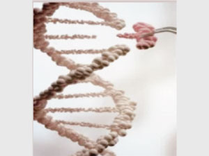 Imagen de la feria Cibersorprende 2020.3