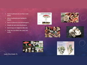 Fotografía clase de inglés en el programa Primaria Incluyente