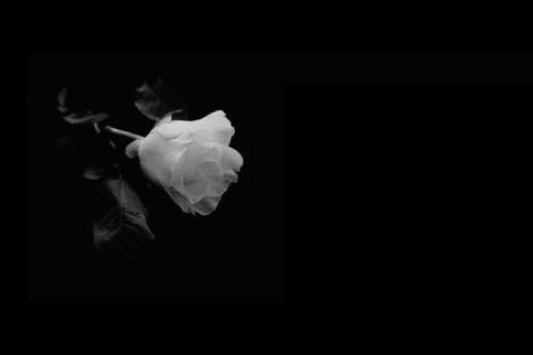 imagen-condolencias