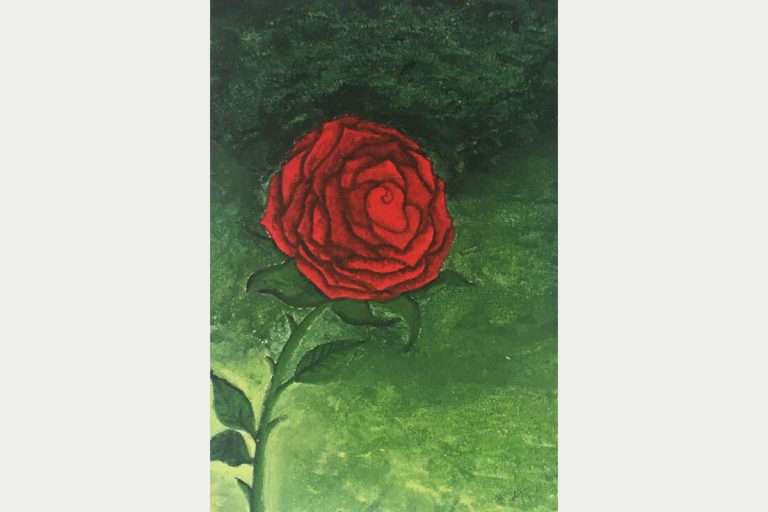 Dibujo de una rosa