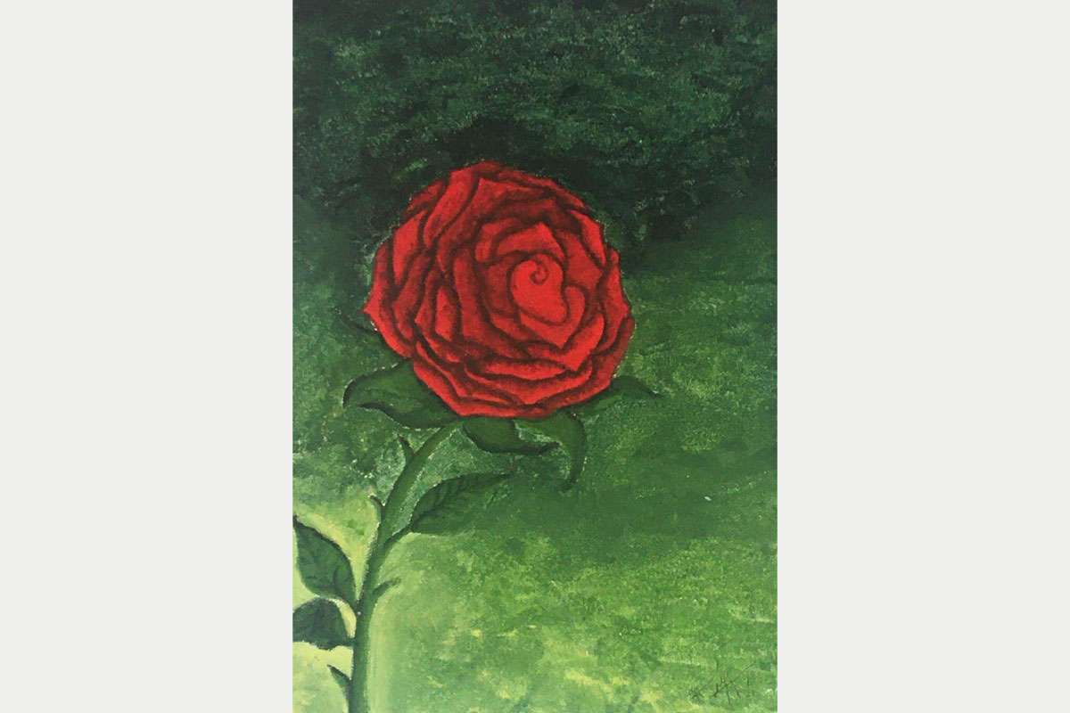Dibujo de una rosa