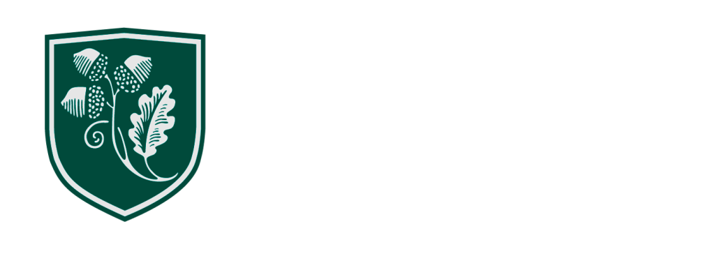 Logo de la Academia International Studies