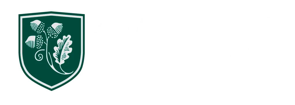 Logo de la Academia International Studies