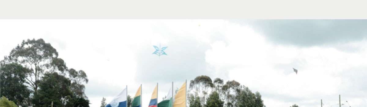 imagen-festival-cometas