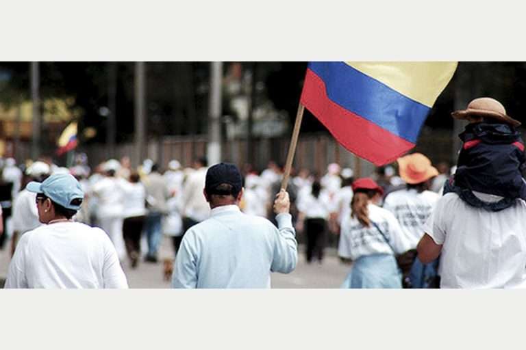 imagen-planton