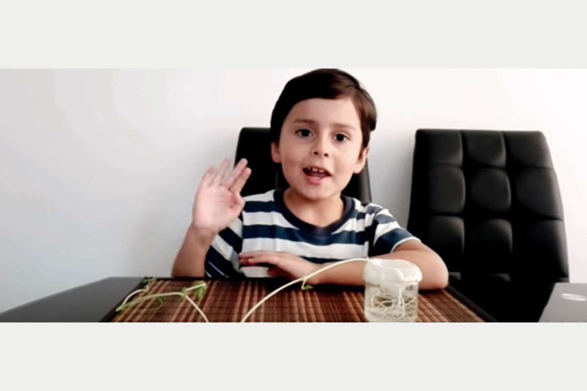 imagen-semilleros-investigacion