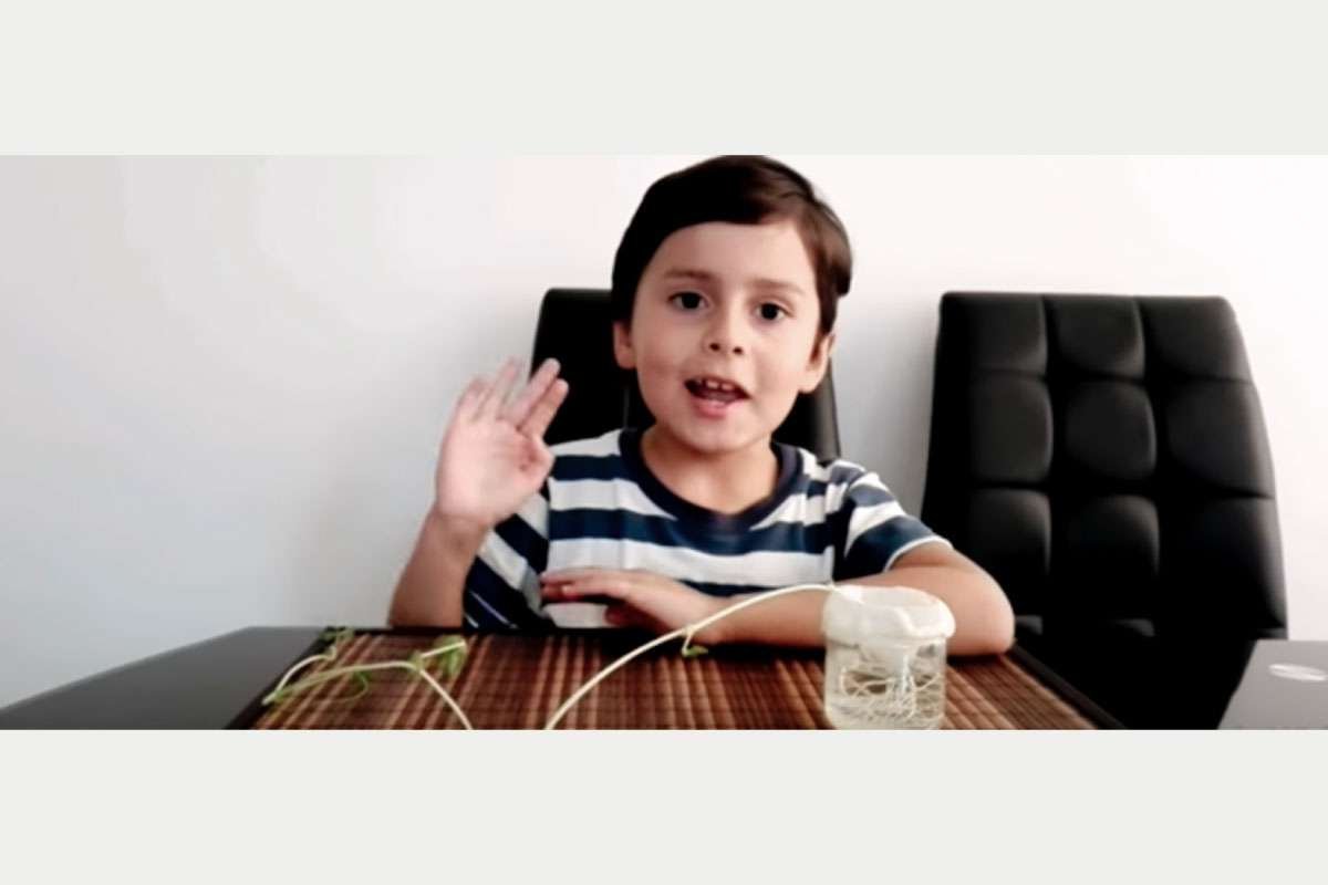 imagen-semilleros-investigacion