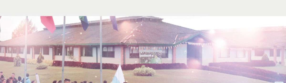 imagen-bienvenida-2016