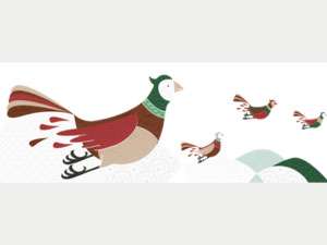 imagen-3-imagen-feria-cti-iv