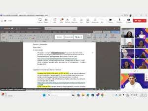 Actualización del borrador sobre los "Lineamientos para la atención a población con BAP y diagnósticos de salud"