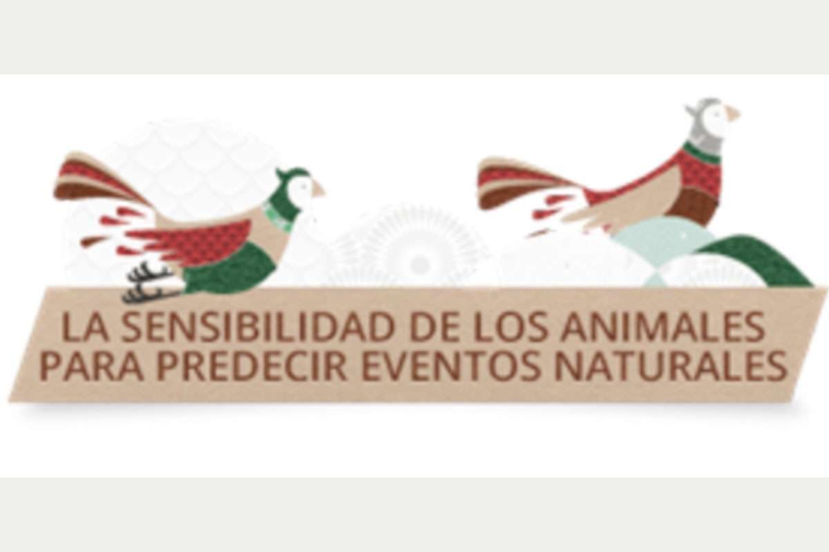 imagen-feria-cti-iiii