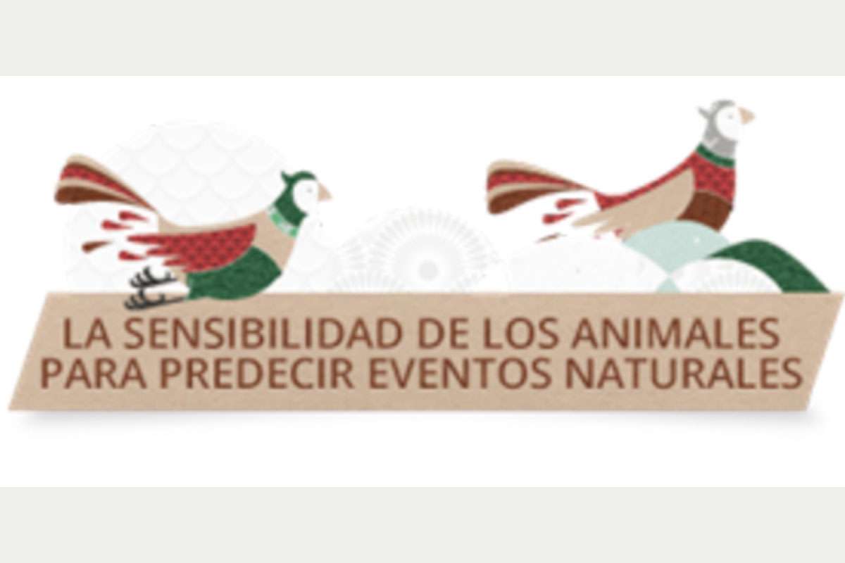 imagen-feria-cti-iiii