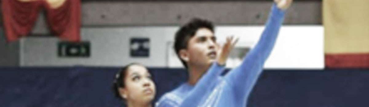 imagen-patinadores-1