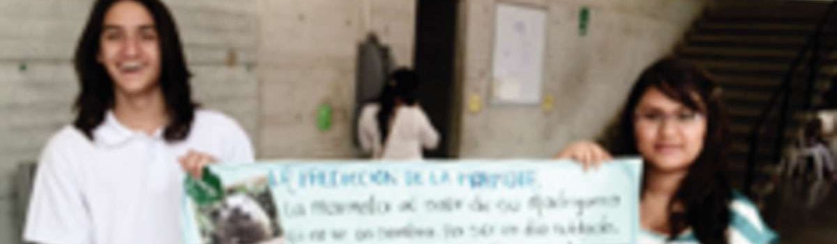 imagen-feriaslocales