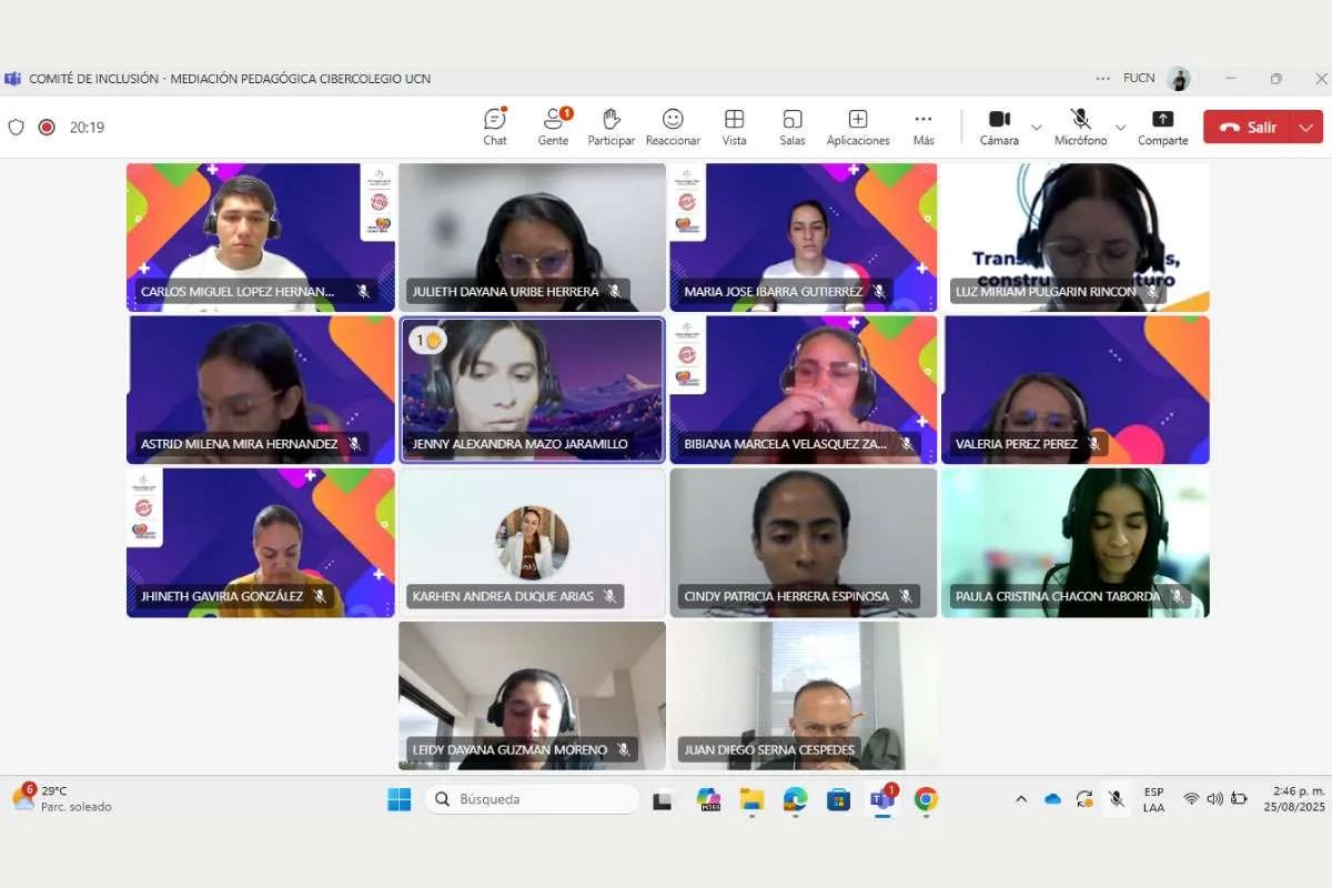 Pantallazo reunión comité de inclusión