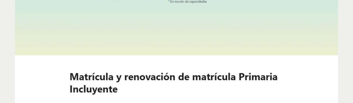 imagen-automatización-matrículas-PI