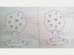 imagen1_ruta_cent_aprende