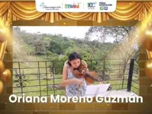 Muestra musical con el instrumento del Violín 