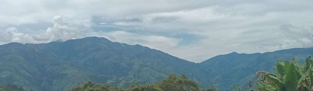 portada_cedral_ituango